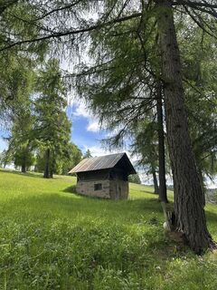 Foto von AB entlang der Tour