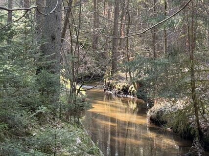 Zdjęcie z Norbert Herbig wzdłuż trasy