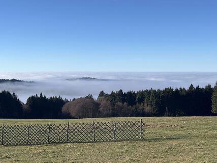 Fotografia z Alfred Weber na trase