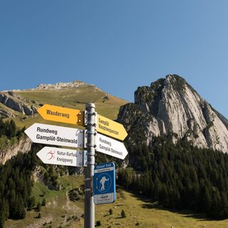 Wegweiser Gamplüt