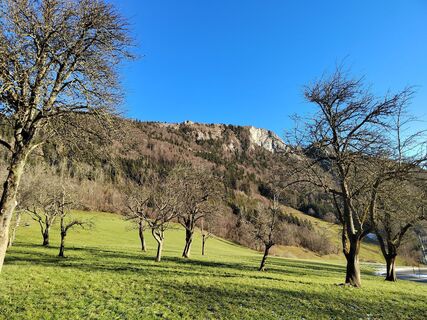 Zdjęcie z ReginaSt wzdłuż trasy
