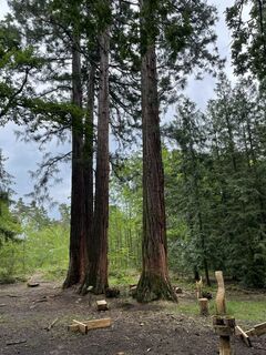 Foto fra Martin.Salber underveis på turen