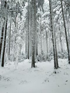 Fotografia z Wolfgang0 na trase