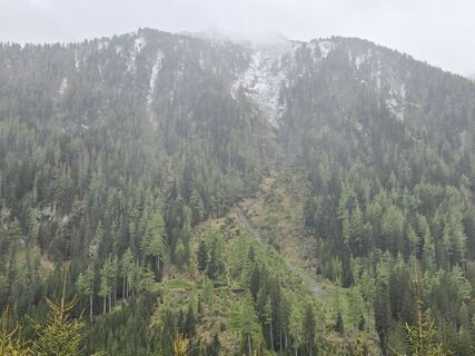 Fotografija s spletne strani Timon Bertignoll na poti