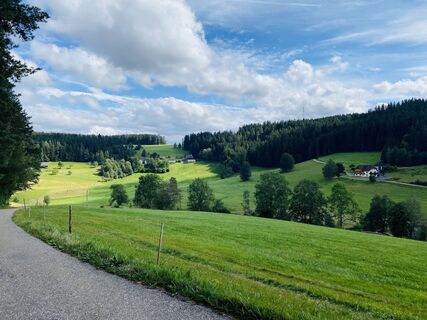 Blick übers Fohrenbächle