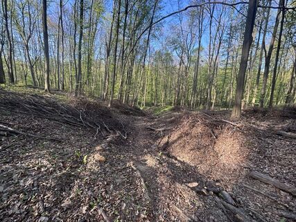 Foto de Reti Alicia a lo largo del recorrido