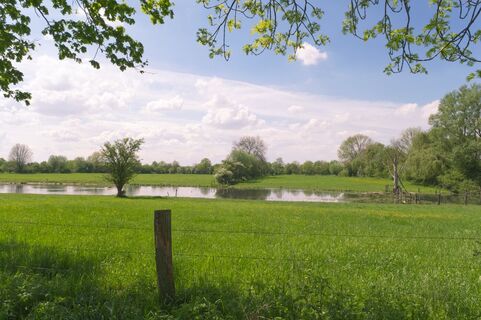 Zemljevid