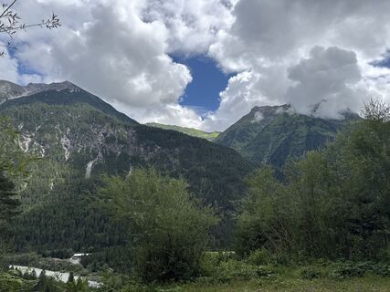 Photo de Grizzli le long du parcours