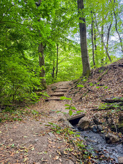 Photo de Bigjohn71 le long du parcours