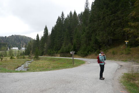 vorne in dem Waldstück gehts los