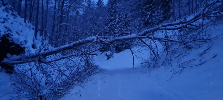 Photo from Afa along the tour