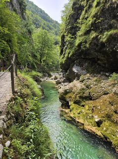 Fotografija s spletne strani TwilightTea na poti