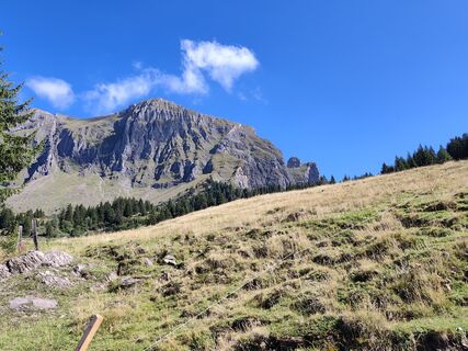 Foto von Peter Seliner entlang der Tour