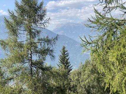 Fotografija s spletne strani Marco Angelo Bongini na poti