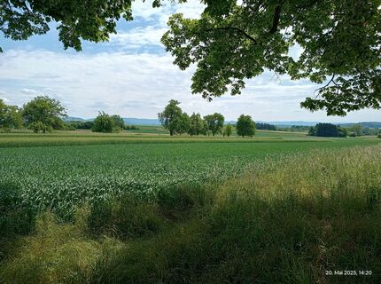 Foto von vossi06 entlang der Tour