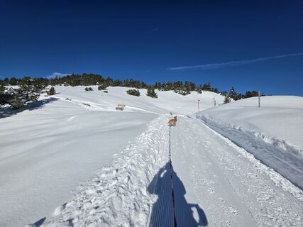Foto de Carlo Ospelt (Wuffenstein) a lo largo del recorrido