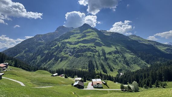 Fotografija s spletne strani Michael Wild na poti