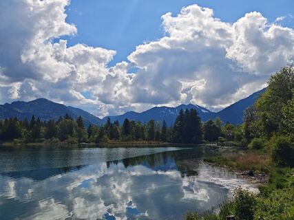 Fotografija s spletne strani Michi Steiert na poti