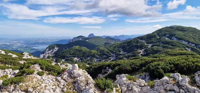 Foto de Irina Reitbauer Photog a lo largo del recorrido