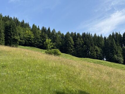 Foto von Dominik Wymann entlang der Tour