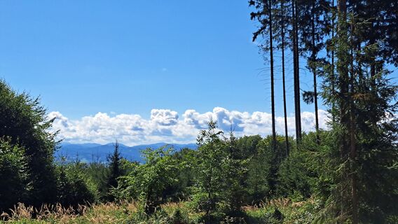 Foto von Anita Lunzer 1 entlang der Tour