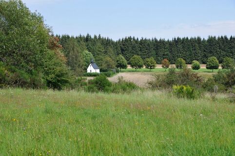 Mit dem MTB auf den Peterberg