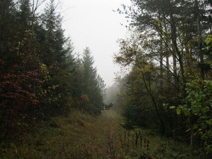 Peisching - Grünbach