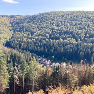 Blick auf Schleusingerneundorf