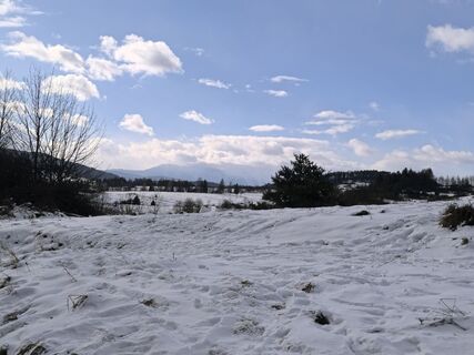 Fotografia z Marek Borkowski 2 na trase