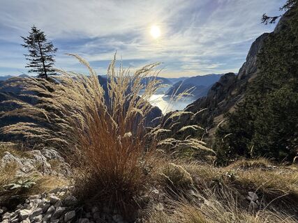 Fotografie z Natur_erleben_dg na trase