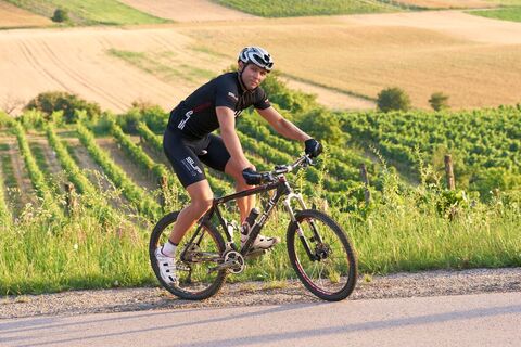 Radfahren im Weinviertel
