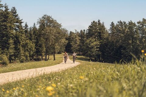 Radfahren im Wienerwald