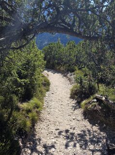 Photo de Simone Weimann le long du parcours