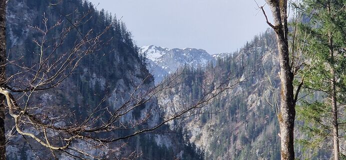 Fotografia z Utassy Tóth Johanna na trase