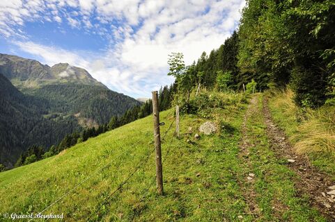 Die Teuchl zählt zu den schönsten und naturbelassensten Seitentälern im Kärntner Mölltal.