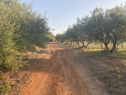 Photo de Peter Labacher le long du parcours