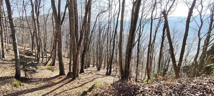 Foto de Iryna a lo largo del recorrido