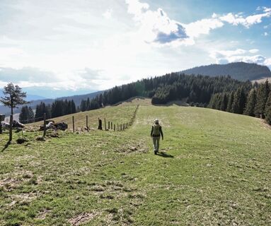 Blick zum Steinplan