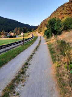 Foto von Willehad entlang der Tour