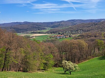 Fotografia z Walter Köllner na trase