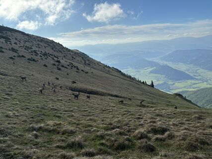 Foto von ChasquiRunner entlang der Tour