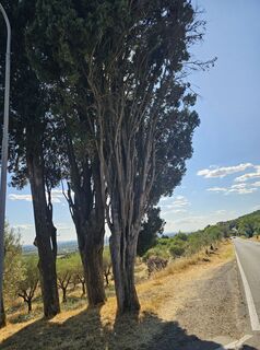 Foto von Marianne Unterrainer entlang der Tour