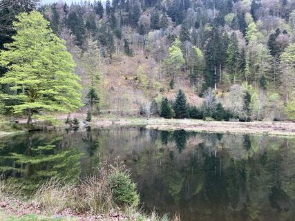 Foto von Markus Glanzmann entlang der Tour