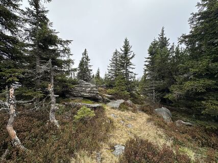 Photo de Georg B. Meier le long du parcours
