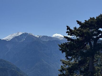 Foto de Xenos a lo largo del recorrido