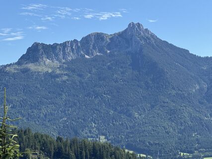 Foto von Grizzli entlang der Tour