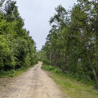 Straße zum Monastero-See, unterer Teil