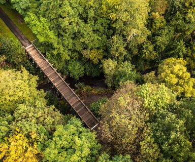 Ruwer-Hochwald-Radweg 3
