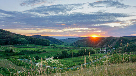 Sonnenuntergang_Vogelsang_Lara_Biegert-2020-08_web