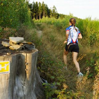 Trailrun Sauerland-Höhenflug